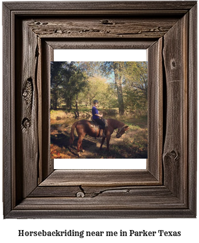 horseback riding near me in Parker, Texas